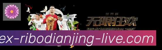 奖项证书